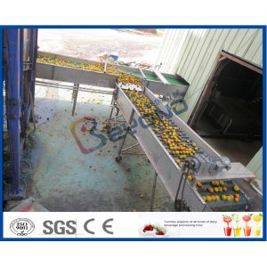 CE Citrus Processing Equipment , Orange Juice Plant With Fruit Processing