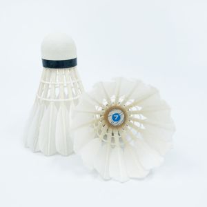 Wholesale Badminton Shuttlecock Super Quality with Best Favourable Price