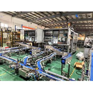 WZ220 Automatic Food Pillow Packing Machine Packing Film type PP PVC PS EVA etc