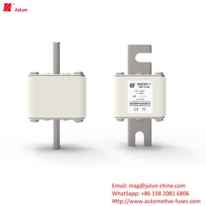 Wholesale RSZ307-1-TMZ Electric Power DC Car Charger Adapter with Bolt on Fuses Energy storage industry applications from china suppliers