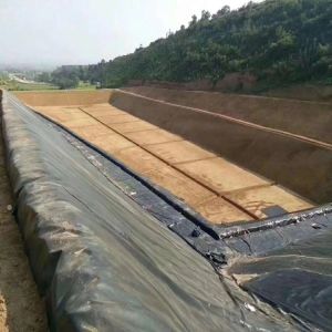1mm 2mm HDPE Geomembrane Sheet for Waterproof Artificial Lake Swimming Pool Dam