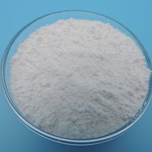 0.8-1 μm Alumina Particles Superior and Long Shelf Life for Optimal Performance