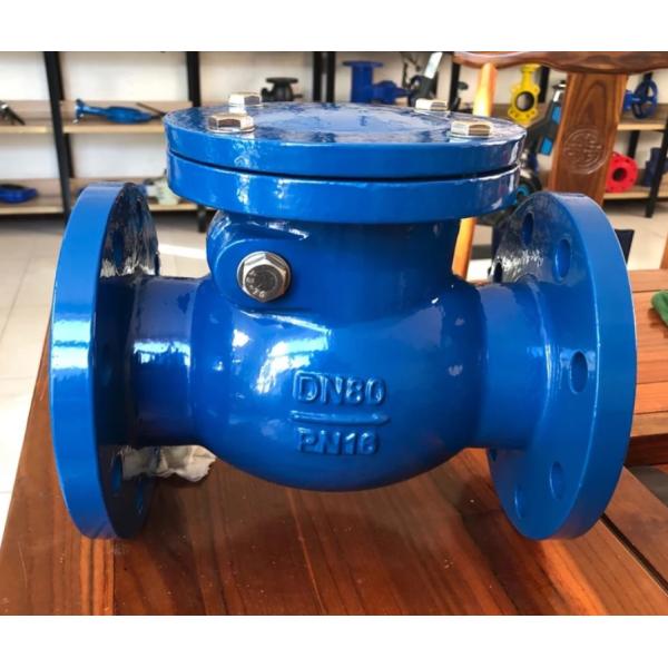 DN250 PN16 GGG50 cast iron swing check valve