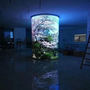 Customized Led Display Screen , Pixel Pitch 2.5mm ,cylinder ,triangel ,