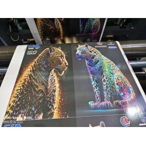 Sleeve Type Flexo Printing Machine with Servo Drive System for High Speed