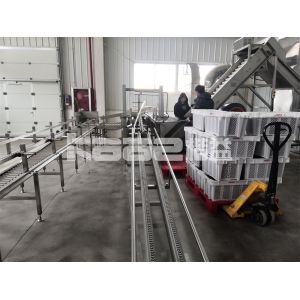 Nuts Ginger Conveyor Dryer Machine Fish Chilli Dryer Machine