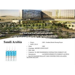 300ml External Wall Caulking Silicone Sealant Four Language Package