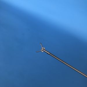 2300 mm Disposable Grasping Forceps with CE and ISO certificate