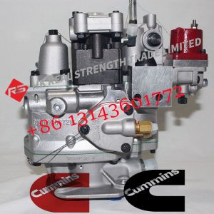 Diesel NT855 Engine Spare Parts Fuel Injector Pump 4061206 4951495 4951501
