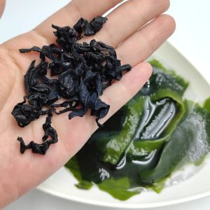Healthy & Delicious Soft Wakame Rich Green Color Boost Salads Stir-Fries And