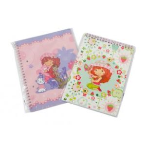 A4, A4+, A5, A5+, A6 Customized OEM Paper cover Spiral Bound Notebook