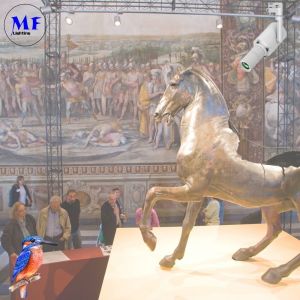 Beam Angle 25°~45° Shapable Track Light Ra>97 5 Years Warranty 4000K With Black