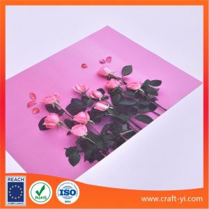 Table Decoration with printing Textilene Place Mat 300 x450 mm Washable Table