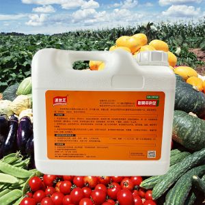Support Customized NPK Liquid Fertilizers High Concentration