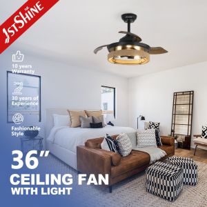 36 Inch Black Caged Ceiling Fan with Light and Remote Midcentury Lighting