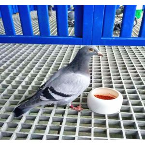 FRP Moulded Grating Customizable