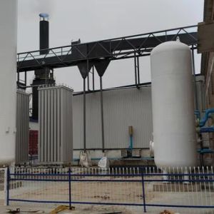 Customized VPSA Oxygen Generator with 1-10 bar Pressure Range and 1 Year