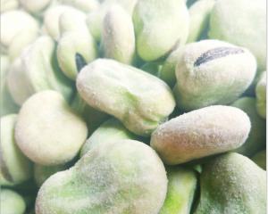 Wholesale High Protein Fresh frozen Broad Beans Natural Green Foods For Supermarket from china suppliers