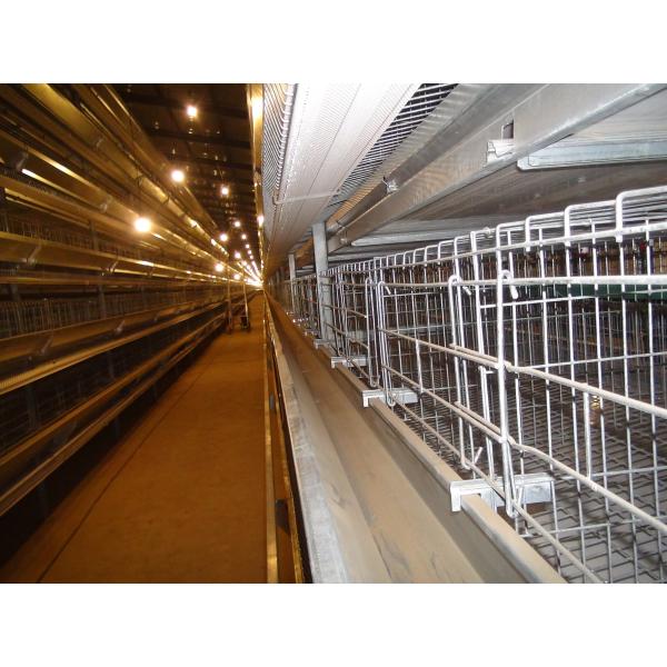 Durable and Sturdy High-Density Hot Galvanized Egg Layer Chicken Cage for Your Poultry Farm