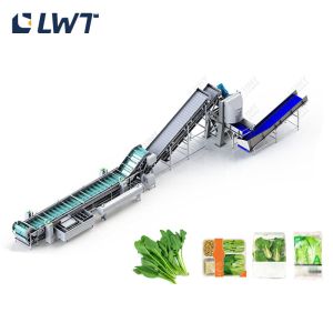 China Spinach quick freezing line Fruit and vegetable quick freezing processing equipment on sale