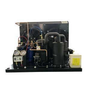 TAG2516Z 4HP Tecumseh Refrigeration Condensing Unit 380V