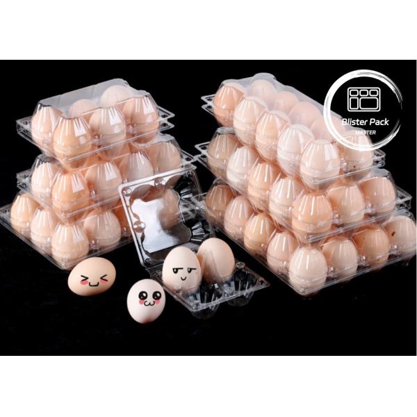 12 Hole Transparent Plastic Durable Egg Blister Tray Cartons for Secure