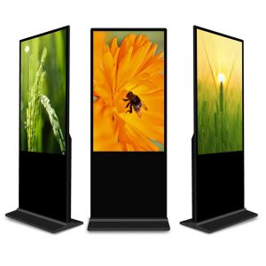 Floor Standing Touch Screen Digital Kiosk 32 43 50 55 65'' Android Waterproof