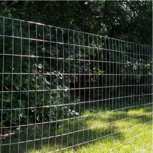 New High Quality China Manufacture Hot Dipped Welded Wire Mesh Galvanized Iron