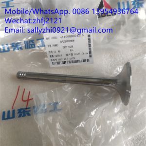 China sdlg Exhaust valve 4110000054215  for Weichai Deutz TD226B WP6G125E22, weichai engine parts for sale on sale
