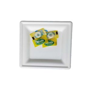 Square Sugarcane Pulp Plates