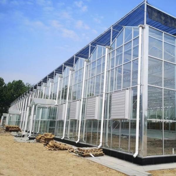 Greenhouse Hydroponics Growing System with Shading Screen
