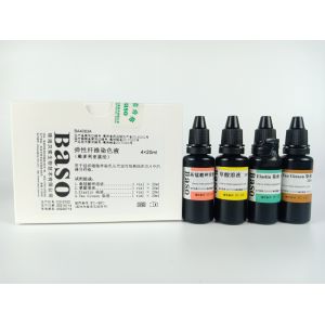 Elastic Fiber Stain (Victoria blue Method) -V.G. counterstaining Baso Clear