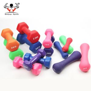 Vinyl Dipping Fitness Equipment Dumbbells With Hexagon Ends 0.5kg-10kg Weight