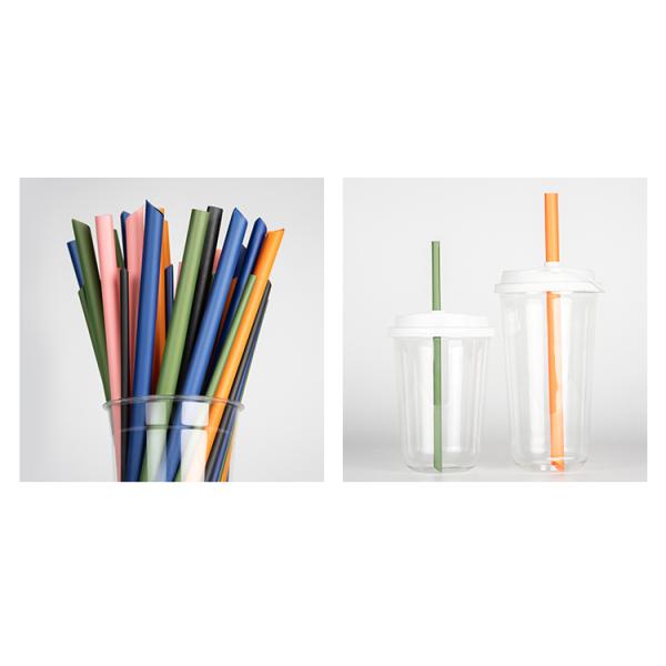 Coloured Compostable Individually Wrapped PLA Disposable Straws Biodegradable Straight PLA Straws