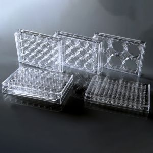 6 well 9.5cm Cell Culture Plates For P3 Laboratory
