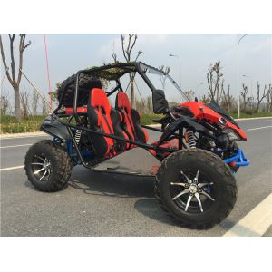 Horizontal Single Cylinder 2 Seater Off Road Go Kart 11.1 HP With 12V 9AH