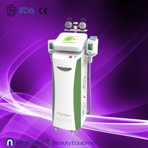 Wholesale Cryolipolysis Vacuum RF Slimming Body Shaping Machine For Weight Loss from china suppliers