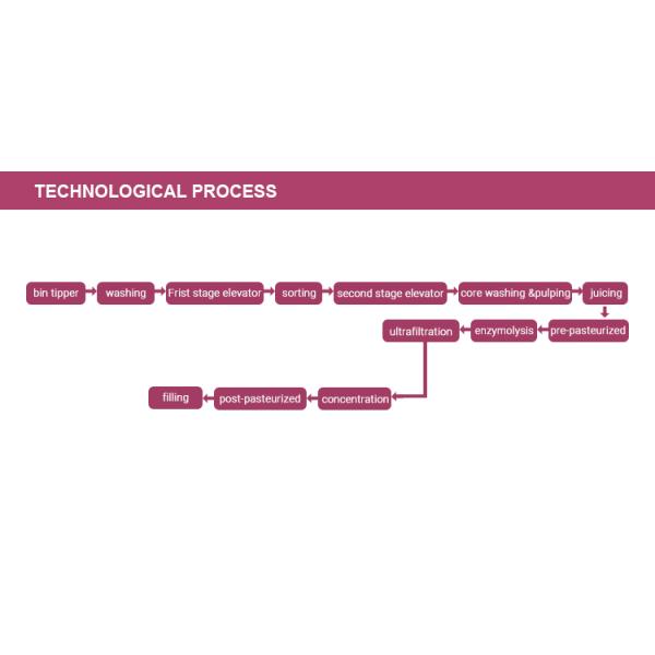 Fruit Jam Berry Juicer Machine Cherry Berry Jam Processing Line Marmalade Producing Plant Machine