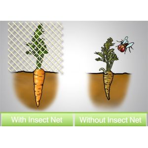 China Application Of Insect Nets The Use Of Insect-Proof Nets To Artificially Construct Barriers To Reduce The Occurrence on sale