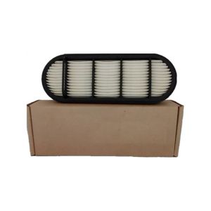 Video Outgoing-Inspection Air Filter Element P606121 with 3 Month of Core