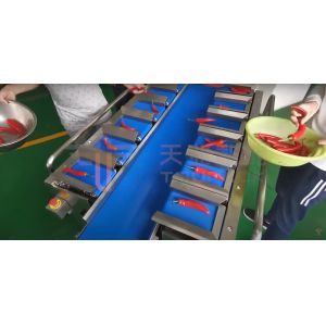 20WPM SUS 304 Fruit And Vegetable Packaging Machine Quick Response