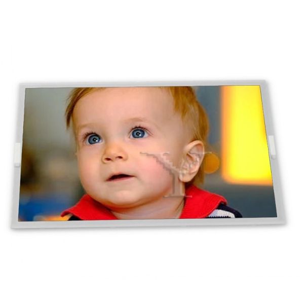 320*240 Graphic LCD Module LVDS Interface Mono LCD Module For Industrial