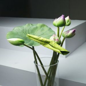 Real Touch PU Lotus, Both Leaves and Flower