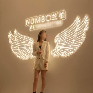 Acrylic neon Flex 12V RGB Waterproof LED Neon Sign Light for Holiday Party