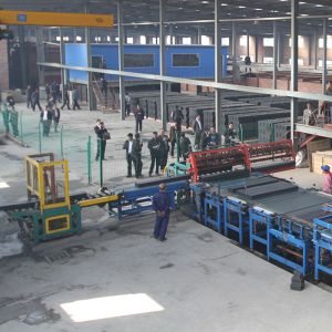 Advanced Automatic Cutting Machine Brick Production Line for Fired Clay Brick