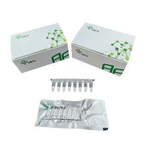 Wholesale Accurate Results RNA Amplification Kit High Sensitivity from china suppliers