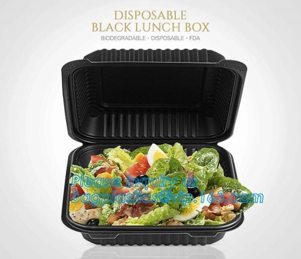 Plastic Food Storage Boxes with Handles Food Crisper Food Storage Bins Organizer Refrigerator Storage Container bagease
