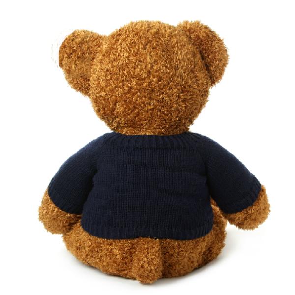 sweater teddy bear