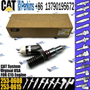 Engine Part Fuel Injector 249-0705 249-0713 249-0707 249-0708 253-0608 259-5409
