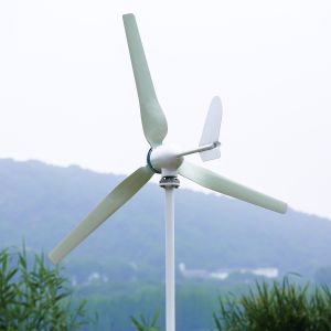Wind Power System Home Hybrid Wind Mill Power Generator System Directly Sale 3KW